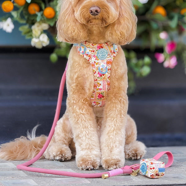 4ft Rope Lead - Pretty Pink