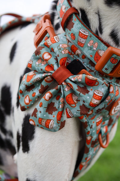 Sailor Bow - Pumpkin Spice