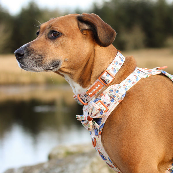 Paddington™ Bow Tie - Peckish Paddington
