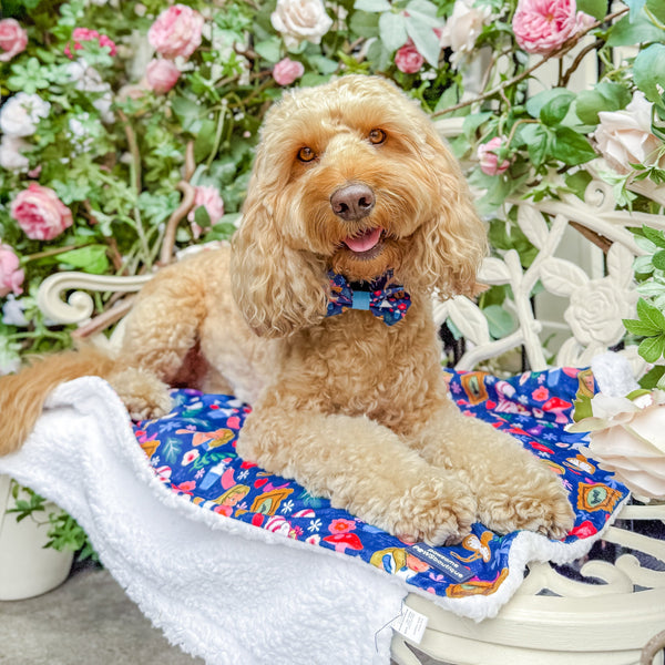 Dog Blanket - Alice In Wonderland