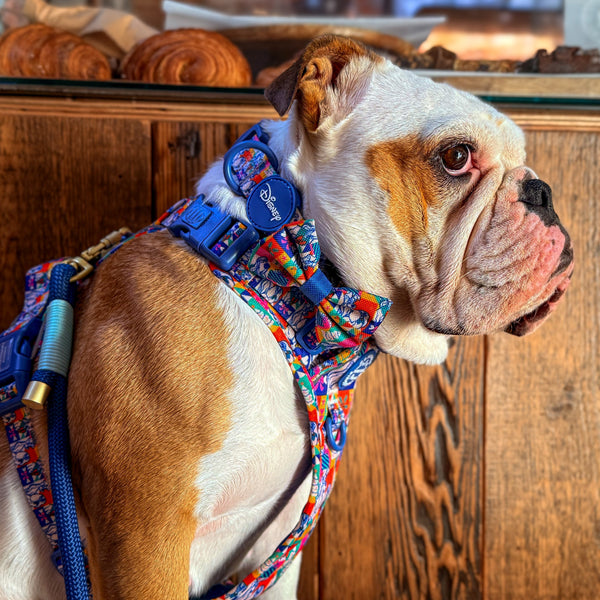 Disney© Bow Tie - Lady + The Tramp