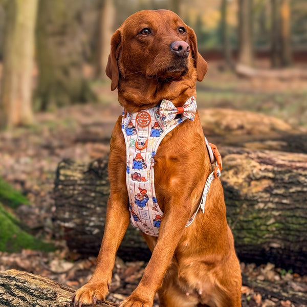 Paddington™ Bow Tie - Peckish Paddington