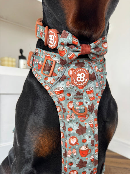 Bow Tie - Pumpkin Spice