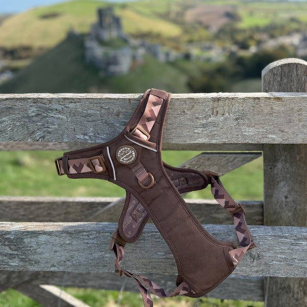 Tough Trails™ Harness - Walkies Ready® Chocolate Brown