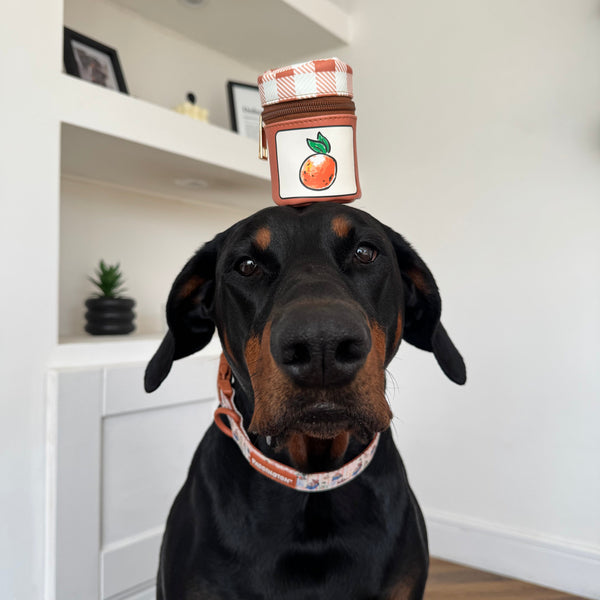 Paddington™ Treat Pouch - Marmalade