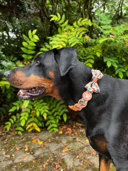 Bow Tie - Pumpkin Spice