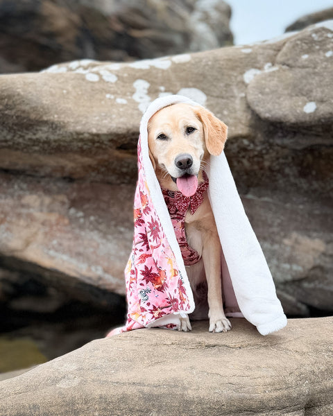 Disney© Dog Blanket - Sunset Safari