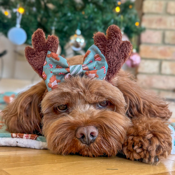 Disney© Bow Tie - Gingerbread Bear Sage