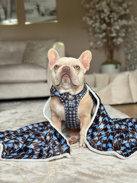 Dog Blanket - Horizon Houndstooth