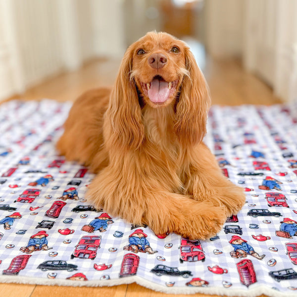 Paddington™ Dog Blanket - London