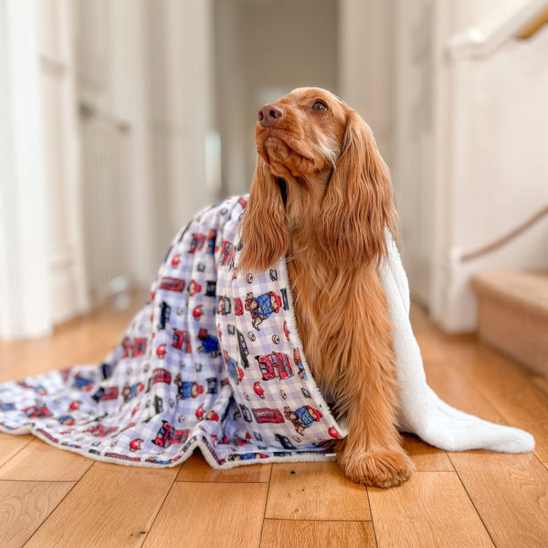 Paddington™ Dog Blanket - London