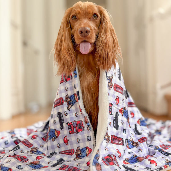 Paddington™ Dog Blanket - London