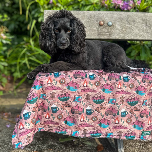 Dog Blanket - Adventure Awaits