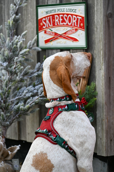 Tough Trails™ Harness - Walkies Ready® Snowy Mountains