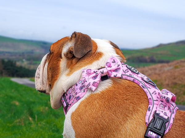 Bow Tie - Betsy's Roadtrip