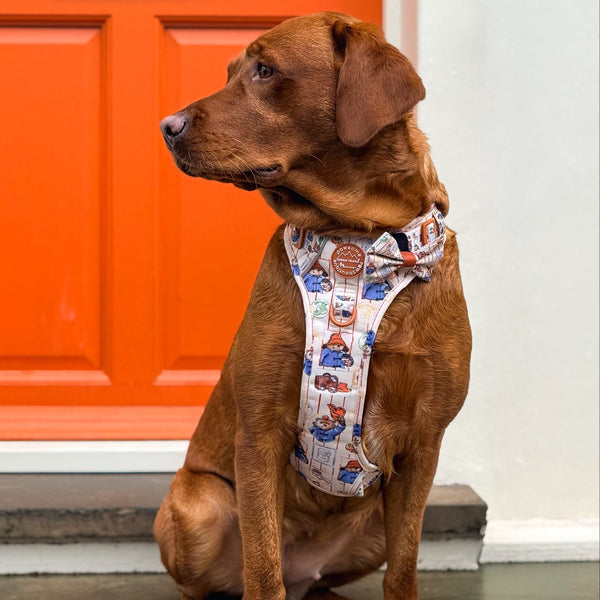 Paddington™ Bow Tie - Peckish Paddington