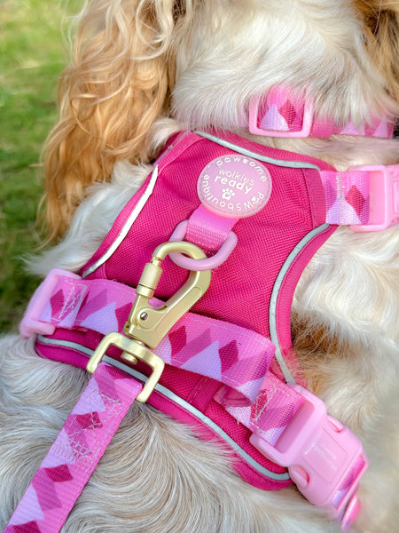 Lead - Walkies Ready® Raspberry Pink