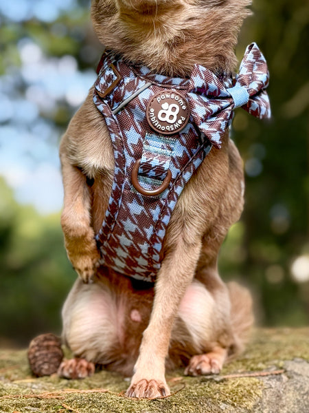 Bow Tie - Horizon Houndstooth