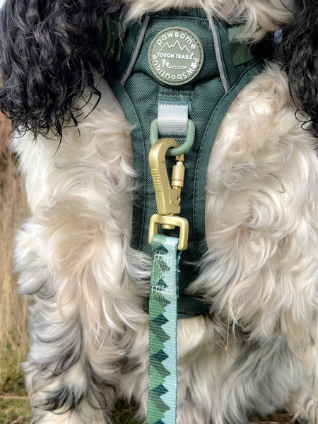 Lead - Walkies Ready® Forest Green