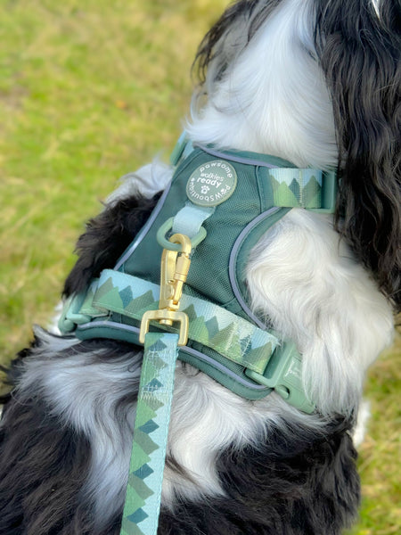 Lead - Walkies Ready® Forest Green