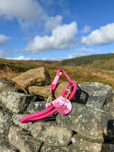 Pawsome Poop Pocket - Walkies Ready®- Raspberry Pink