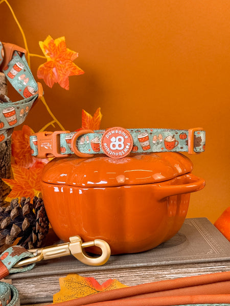 Collar - Pumpkin Spice
