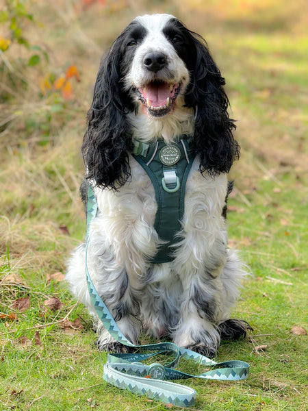 Lead - Walkies Ready® Forest Green