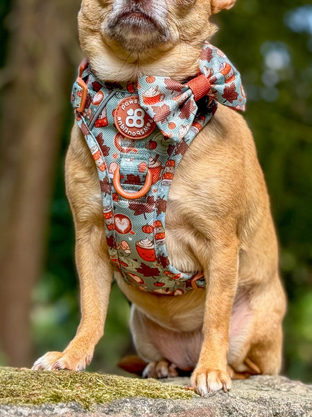 Bow Tie - Pumpkin Spice