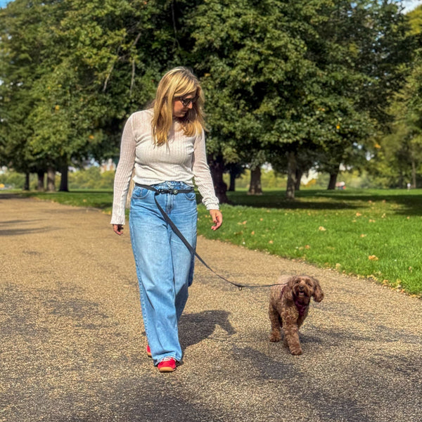 Double Ended Lead - Walkies Ready® Black