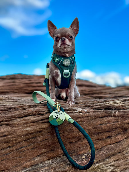 Pawsome Poop Pocket - Walkies Ready® - Forest Green