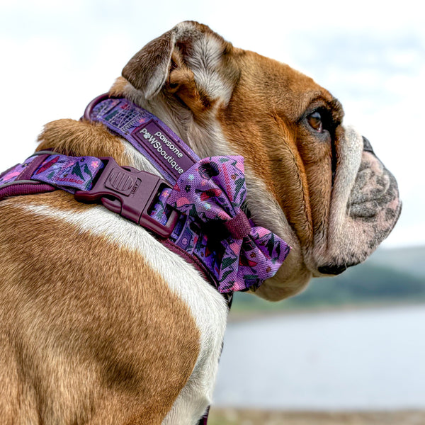 Bow Tie - Roaming Wild