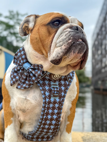 Sailor Bow - Horizon Houndstooth