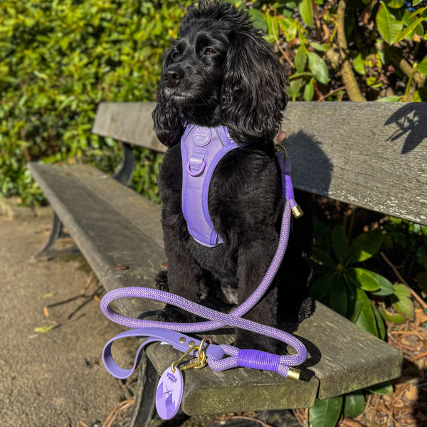 Pawsome Poop Pocket - Walkies Ready® - Lavender Lilac