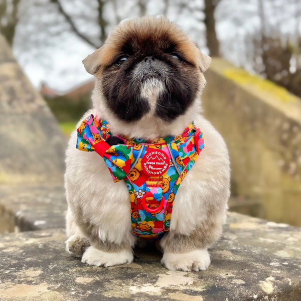 Disney© Bow Tie - Winnie Goes Retro