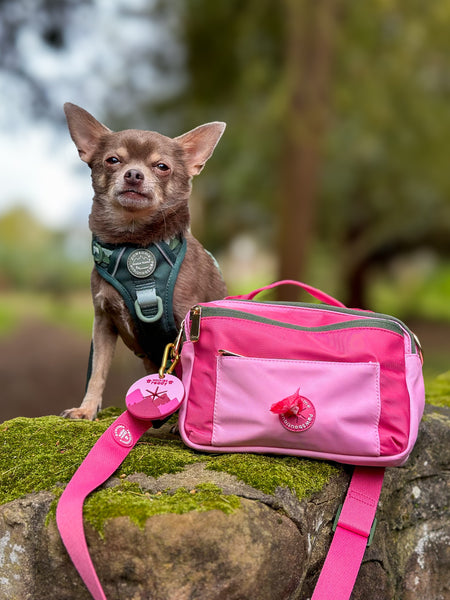 All In One Bumbag - Walkies Ready® Pink/Green