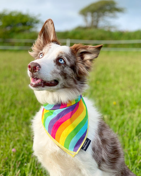 Tie On Bandana - Pride