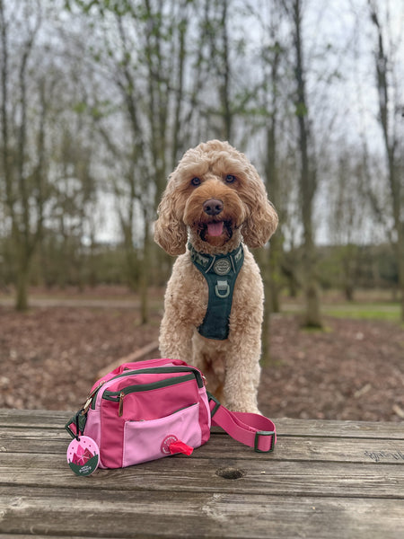 All In One Bumbag - Walkies Ready® Pink/Green