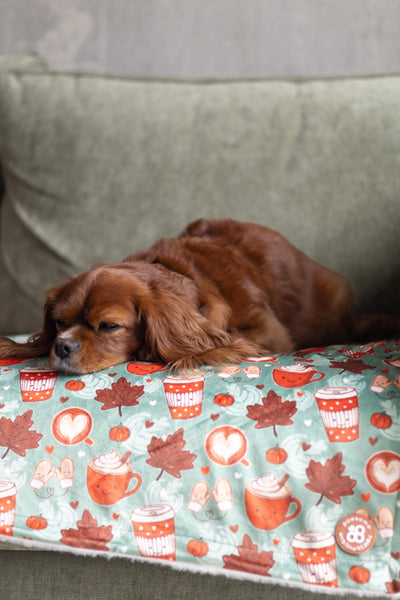Dog Blanket - Pumpkin Spice