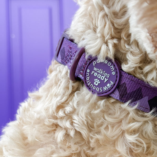 Collar – Walkies Ready® Plum