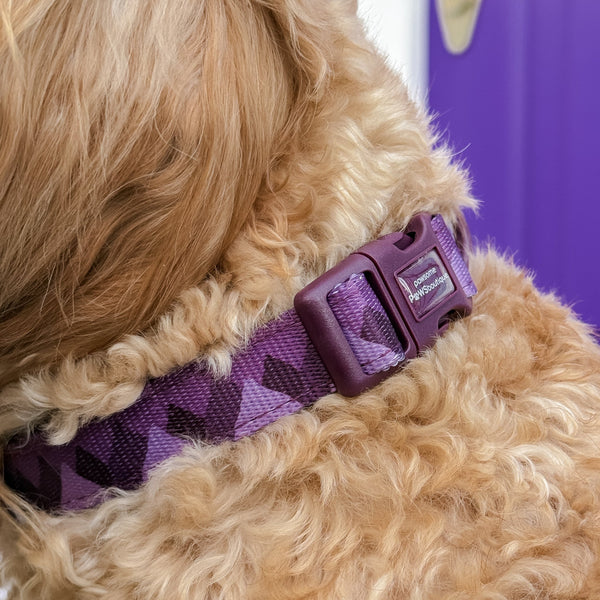 Collar – Walkies Ready® Plum