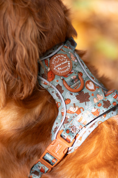 Tough Trails™ Harness -  Pumpkin Spice