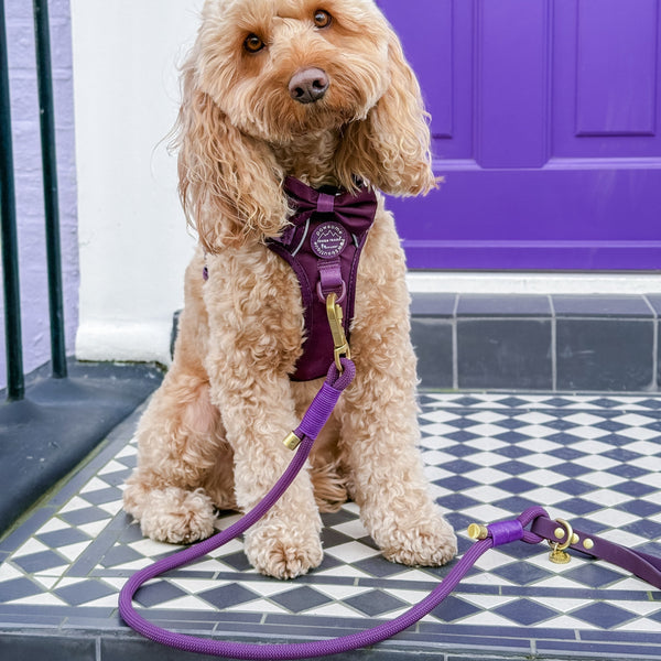 4ft Rope Lead - Walkies Ready® Plum