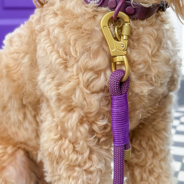4ft Rope Lead - Walkies Ready® Plum