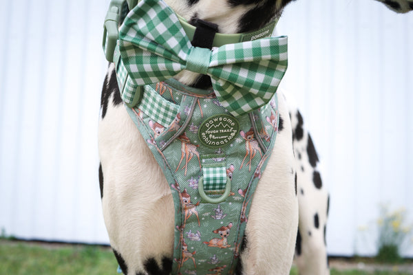 Disney© Bow Tie - Bambi + Thumper - Green Gingham