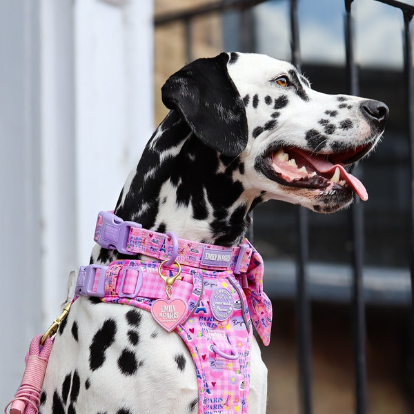 Collar/Lead Charm - Emily In Paris