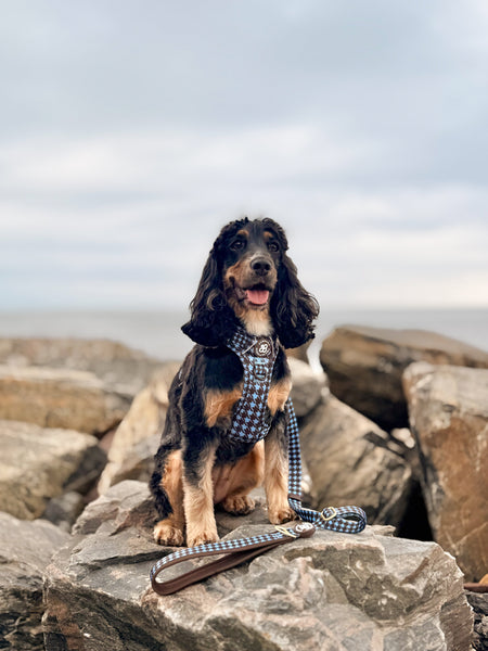 AdjustFit Lead - Horizon Houndstooth