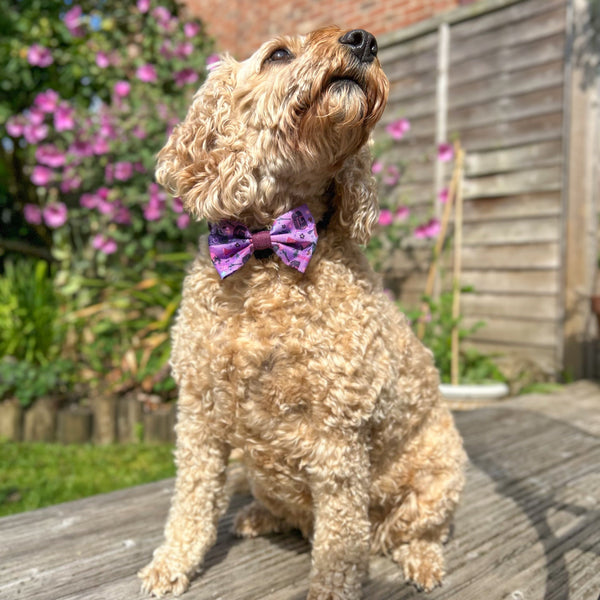 Bow Tie - Roaming Wild