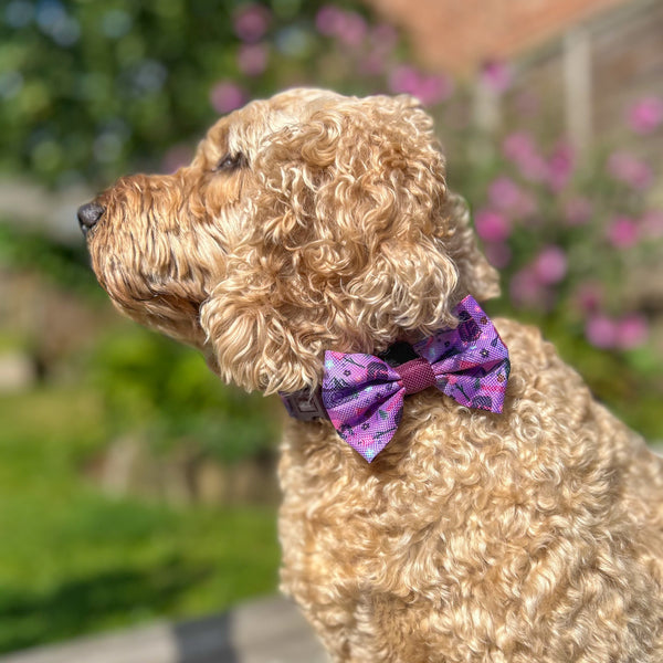 Bow Tie - Roaming Wild