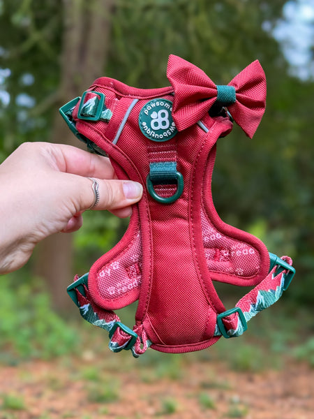 Bow Tie - Walkies Ready® - Snowy Mountains