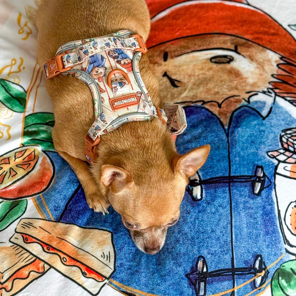 Paddington™ Dog Blanket - Peckish Paddington